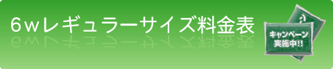�U�v���M�����[�^�C�v