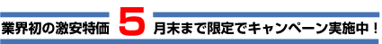 キャンペーン実施中