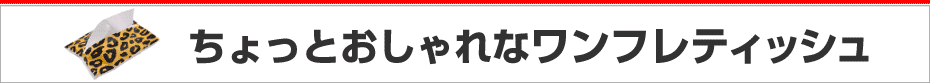 �����t���[�Y�������e�B�b�V������l�C�G���܂�