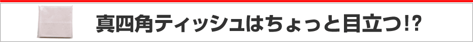 意外に大きいスクエアサイズ